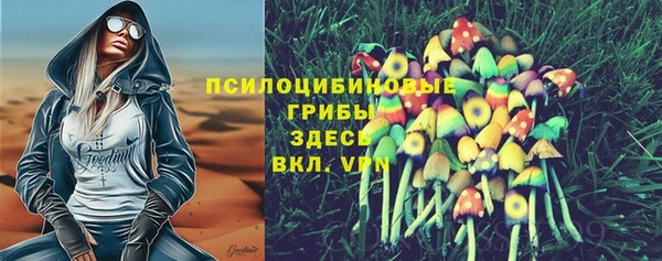 дмт Тутаев
